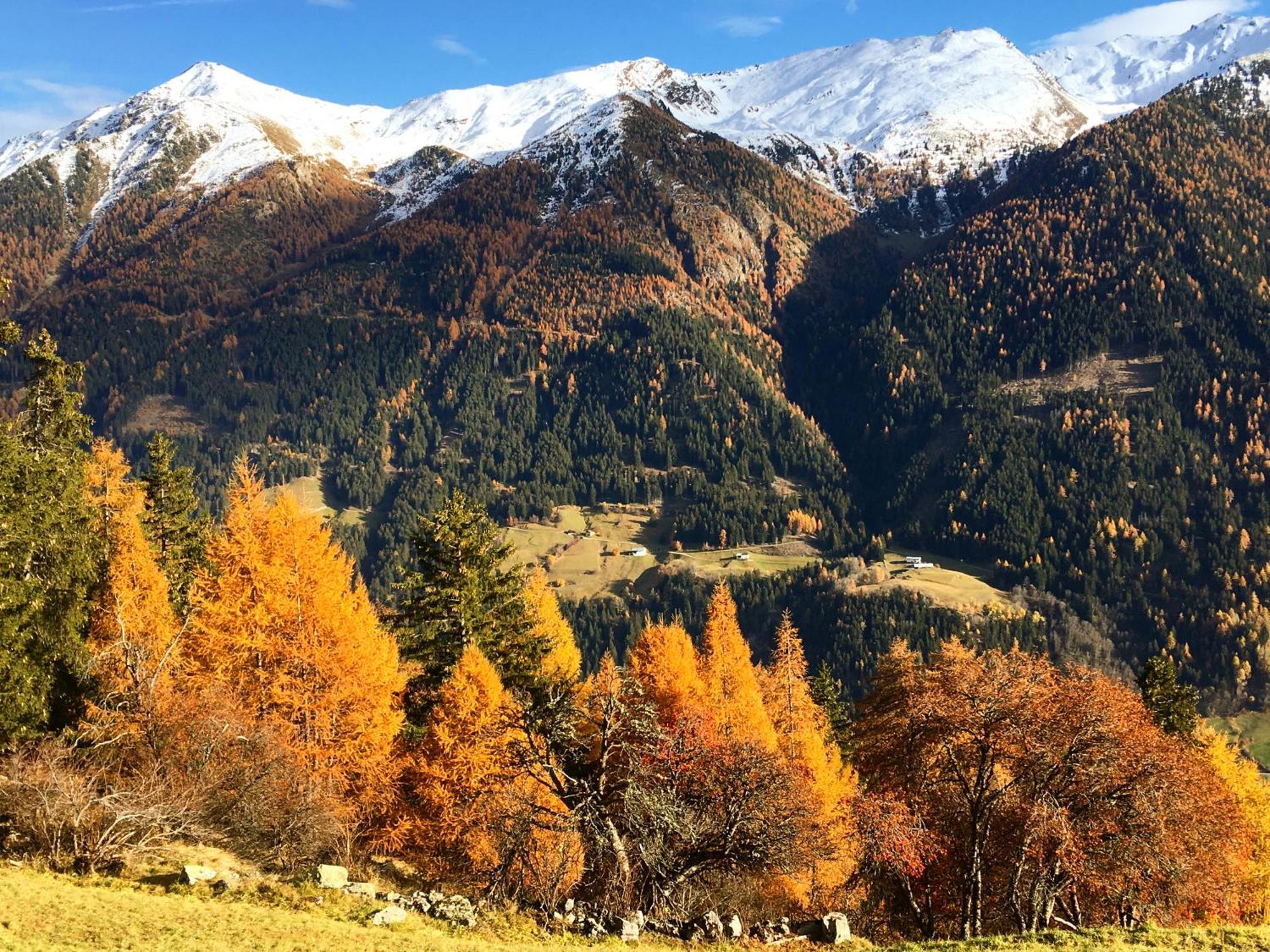 Chasa Jaro Bed & Breakfast Santa Maria Val Müstair Bagian luar foto